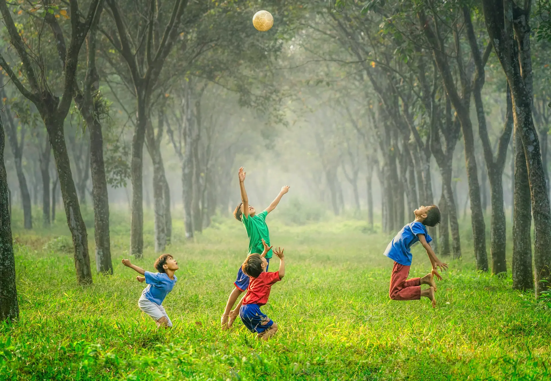 four boy playing ball on green grass